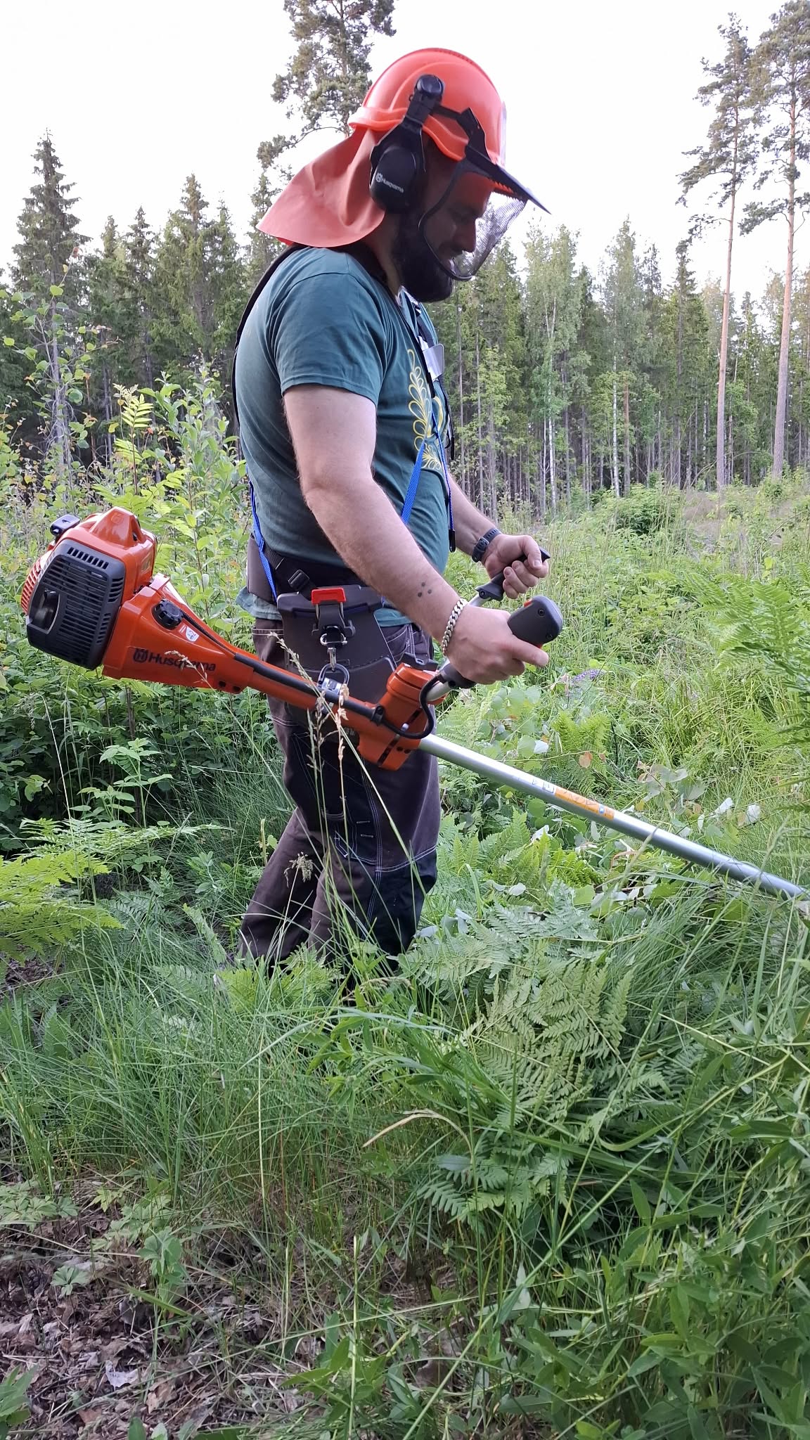 Clearing saw